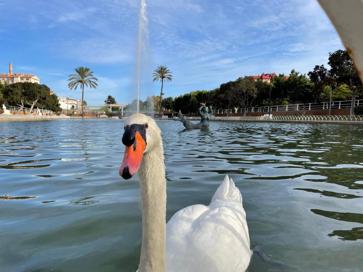 Appartamento Casa Carmen 20 Málaga Esterno foto